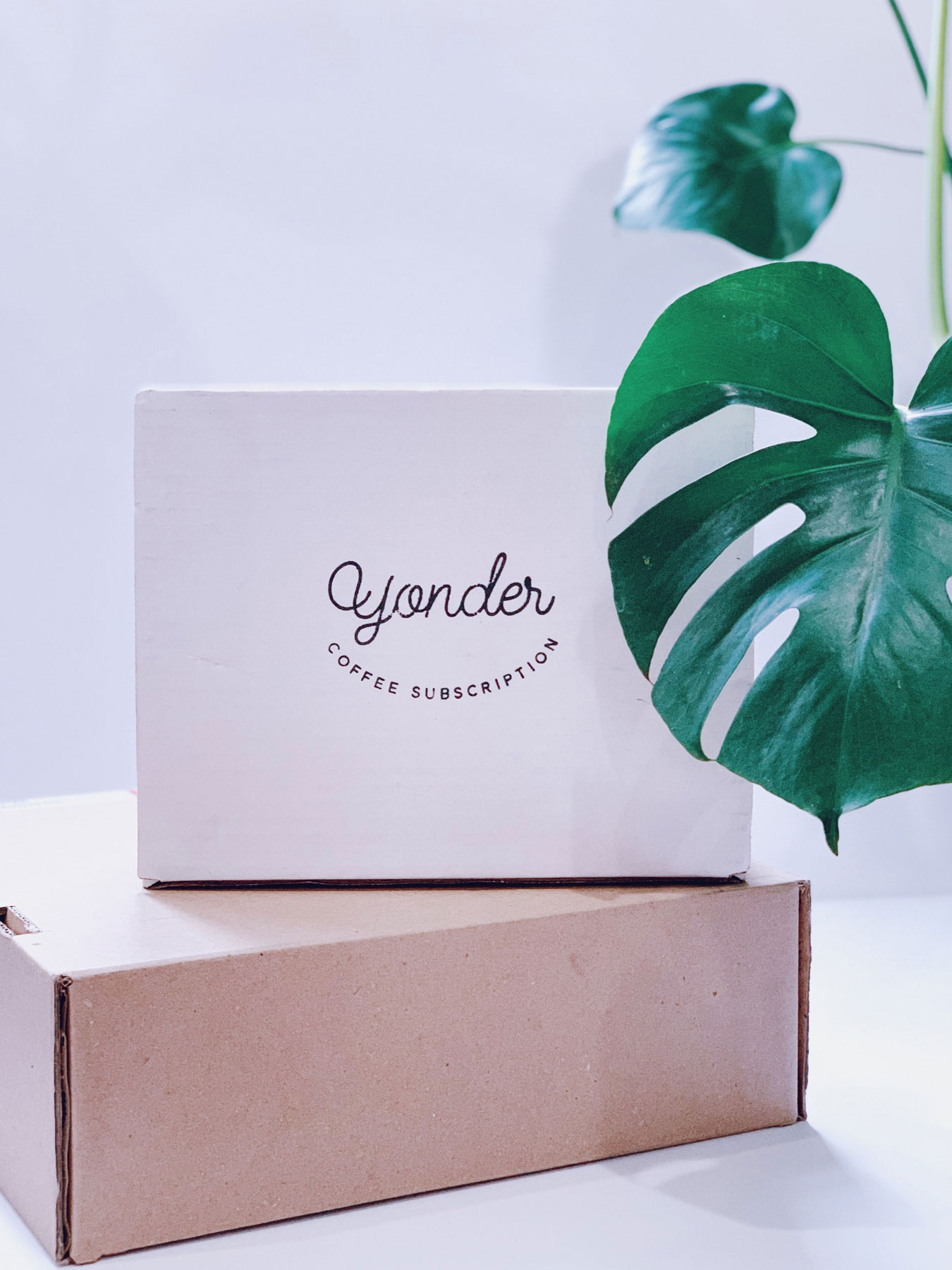Yonder Coffee Packaging with Plant